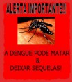DENGUE - Alerta!